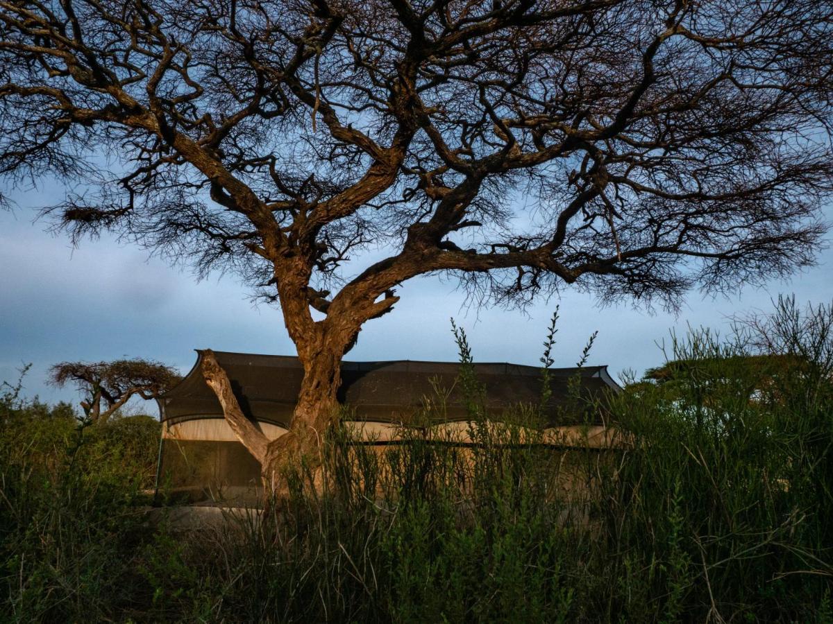 Tulia Amboseli Safari Camp Hotel Eksteriør billede